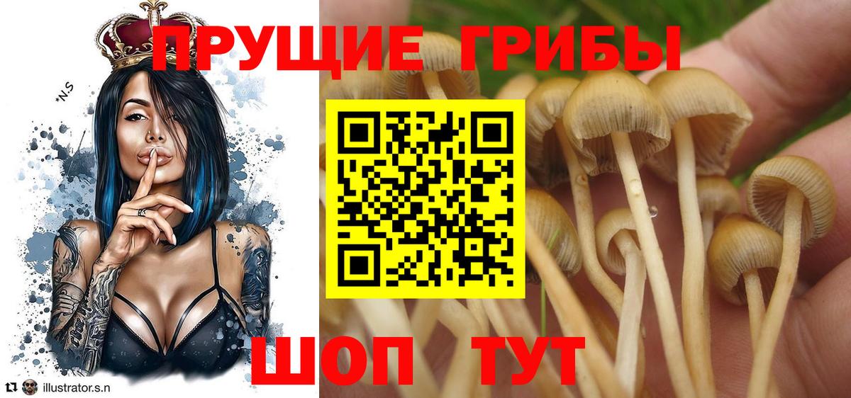 Галлюциногенные грибы мицелий Чита