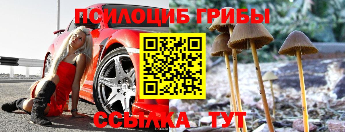 Псилоцибиновые грибы Cubensis  Вход с VPN  Чита  Галлюциногенные грибы прущие грибы 